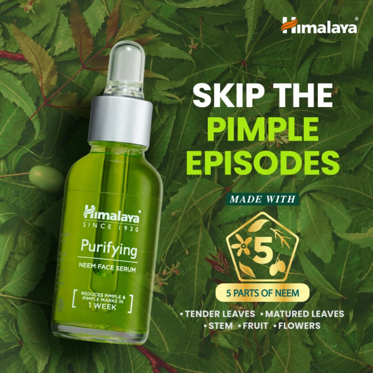 Himalaya Herbals Purifying Neem Face Serum | Grocsy