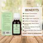 Bella Vita Organic Basil Essential Oil | Grocsy
