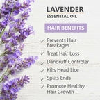 Skiura Nature 100% Natural Lavender Essential Oil For Hair, Skin & Aroma | Grocsy