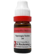 Dr. Reckeweg Spongia Tosta Dilution | Grocsy