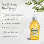 L'Occitane Almond Shampoo | Grocsy