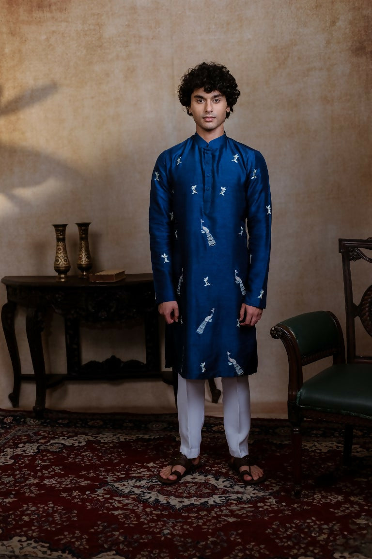 Falling Raw Silk Navy Blue Neel Mayura Kurta Set By Hilo Design | Grocsy