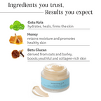 Shankara by Sri Sri Tattva Moisturizing Mask | Grocsy