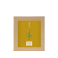 Forest Essentials Body Ubtan Turmeric, Orange Peel and Sweet Basil | Grocsy