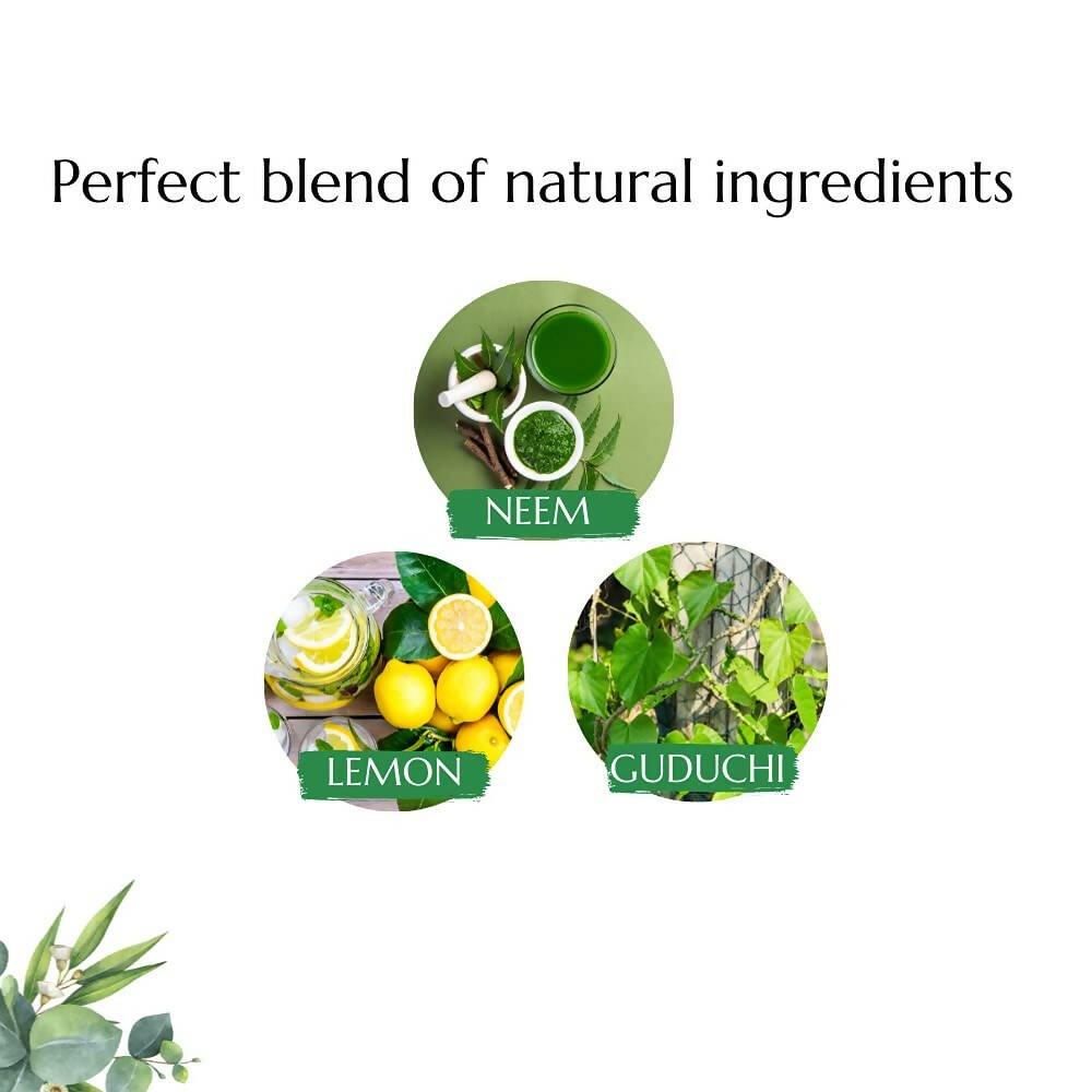 Atrimed Plant Science Anti Dandruff Shampoo | Grocsy