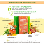 Nyassa Mandarin Citrus Soap Orange & Lemon Extracts | Grocsy