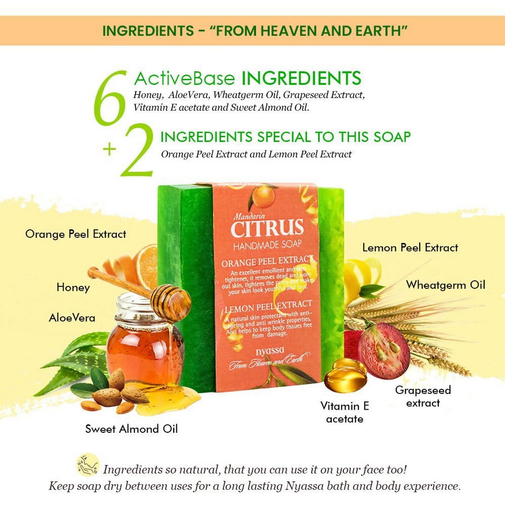 Nyassa Mandarin Citrus Soap Orange & Lemon Extracts | Grocsy