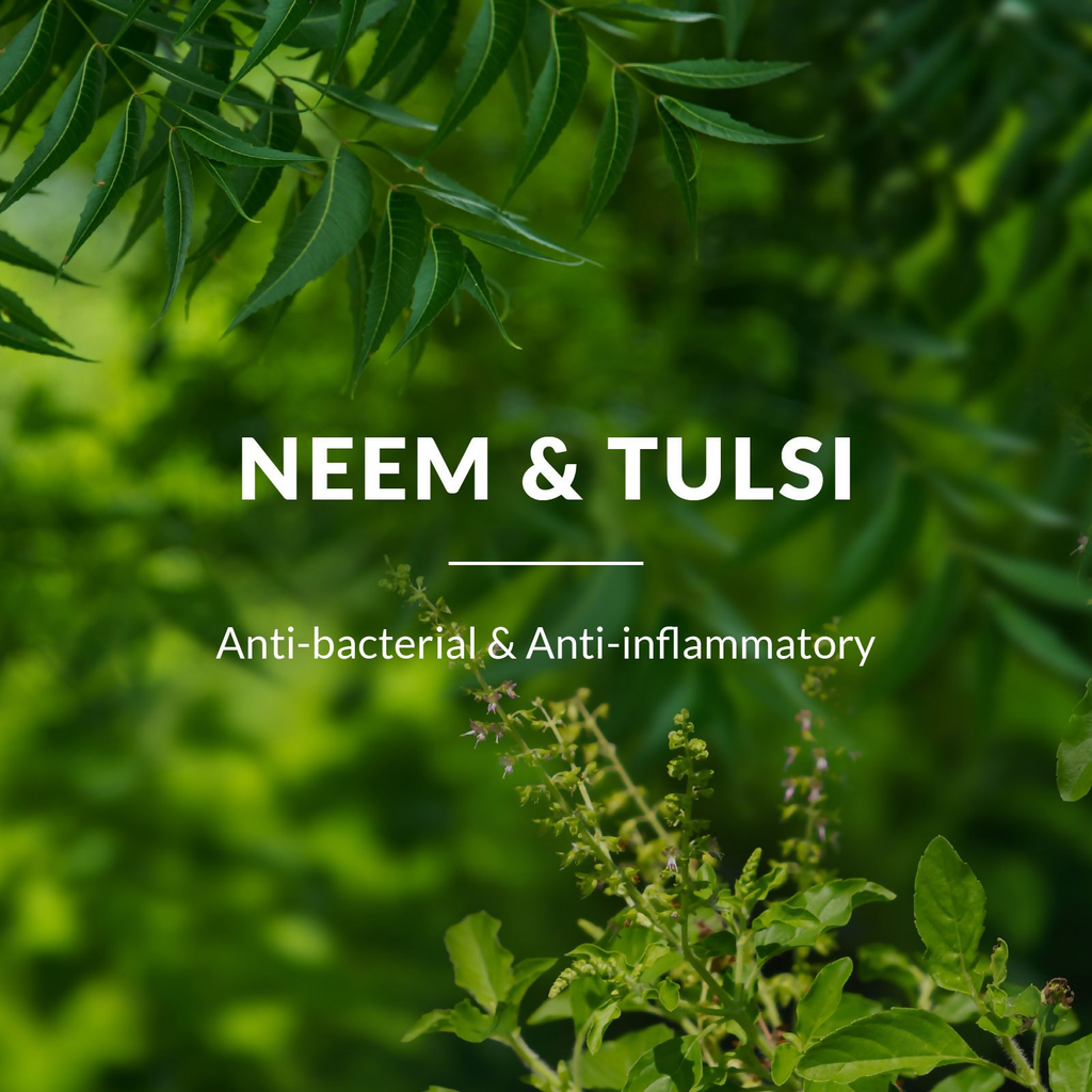 Lotus Botanicals Neem, Tulsi & Salicylic Acid Gentle Foaming Face Wash | Grocsy