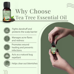 Satthwa Organic Tea Tree Essential Oil | Grocsy