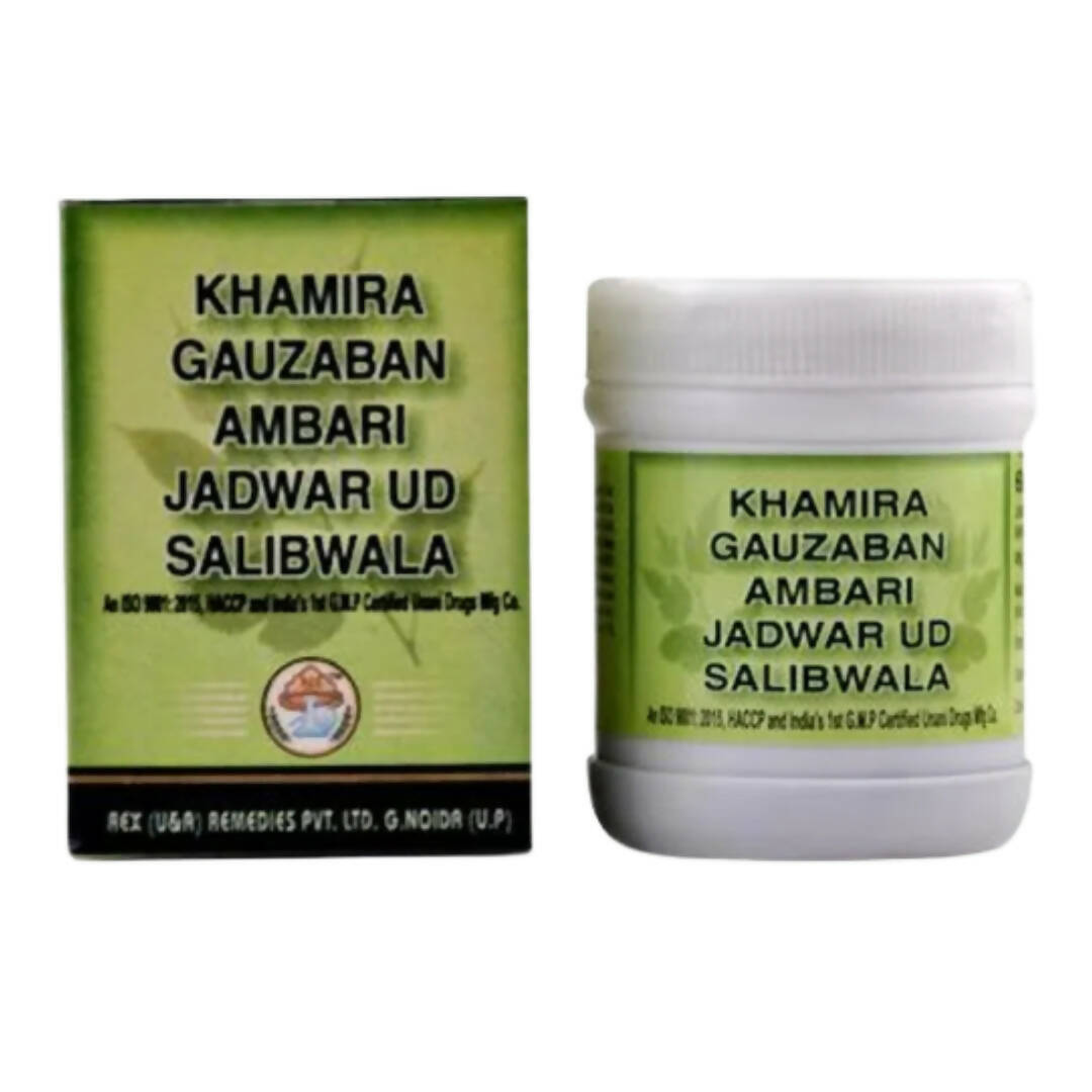 Rex Remedies Khamira Gauzaban Ambari Jadwar Ud Salibwala Paste | Grocsy