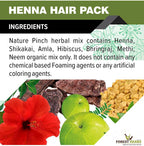 The Forest Herbs Henna Mix Powder | Grocsy