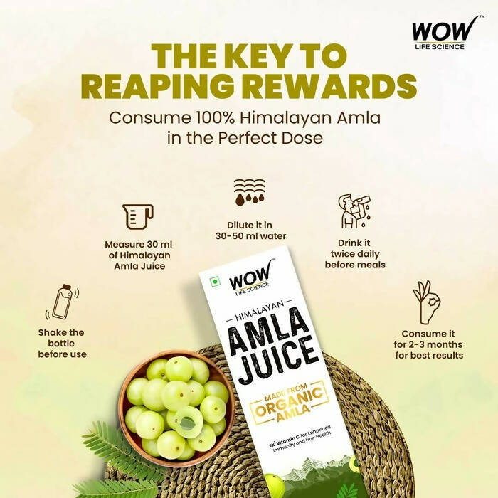 Wow Life Science Himalayan Amla Juice | Grocsy