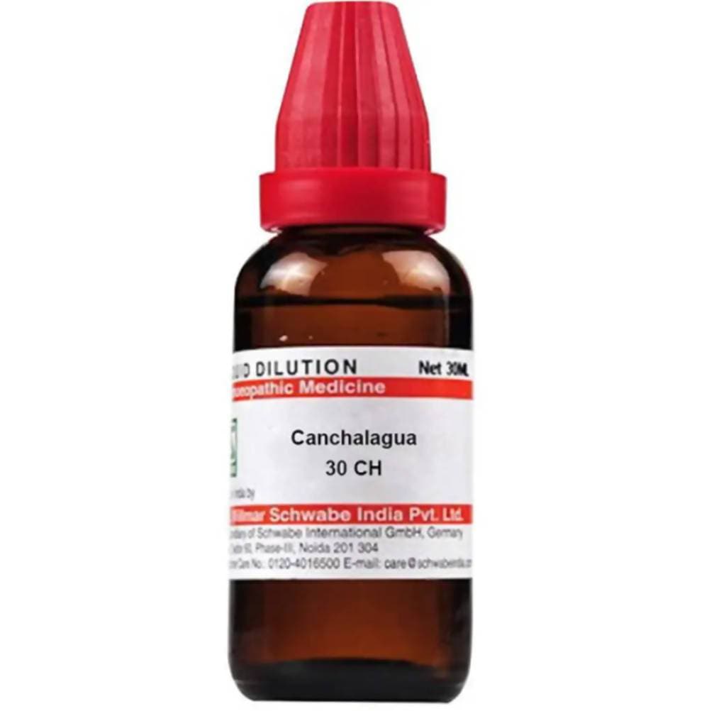 Dr. Willmar Schwabe India Canchalagua Dilution | Grocsy