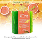 Nyassa Mandarin Citrus Soap Orange & Lemon Extracts | Grocsy