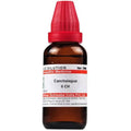 Dr. Willmar Schwabe India Canchalagua Dilution | Grocsy