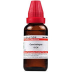 Dr. Willmar Schwabe India Canchalagua Dilution | Grocsy