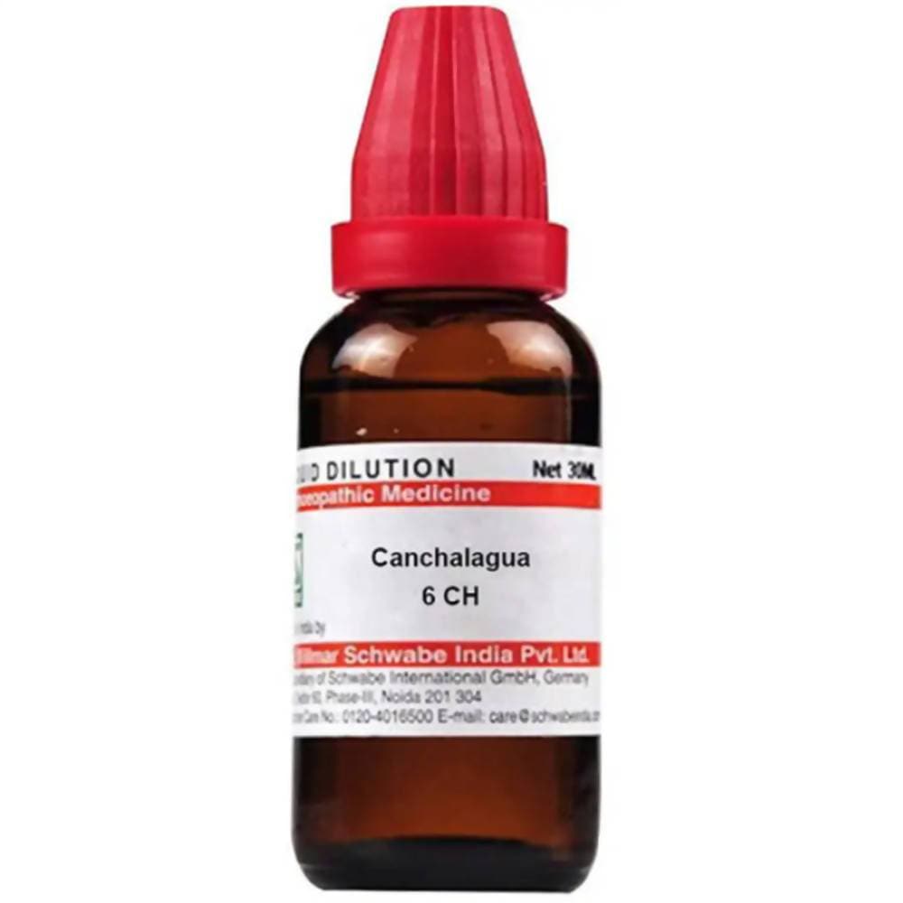 Dr. Willmar Schwabe India Canchalagua Dilution | Grocsy