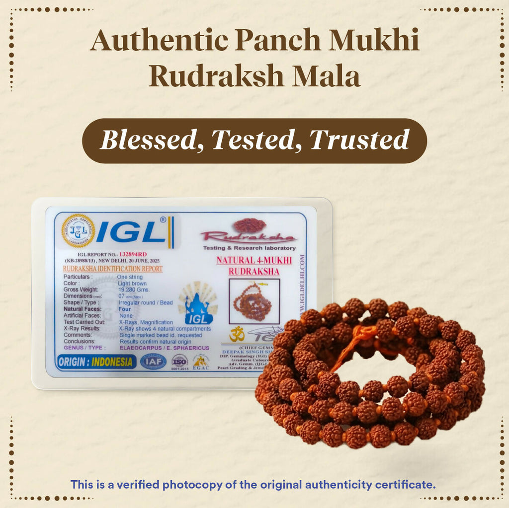 Pujashree Rudraksh Mala Small 8mm – Sacred Prayer Beads for Meditation, Chanting & Spiritual Wear | Grocsy