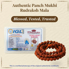 Pujashree Rudraksh Mala Small 8mm – Sacred Prayer Beads for Meditation, Chanting & Spiritual Wear | Grocsy