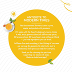 TeaFit AM/PM Wellness No Sugar Tea Premix - Ginger Tea & Turmeric Latte | Grocsy