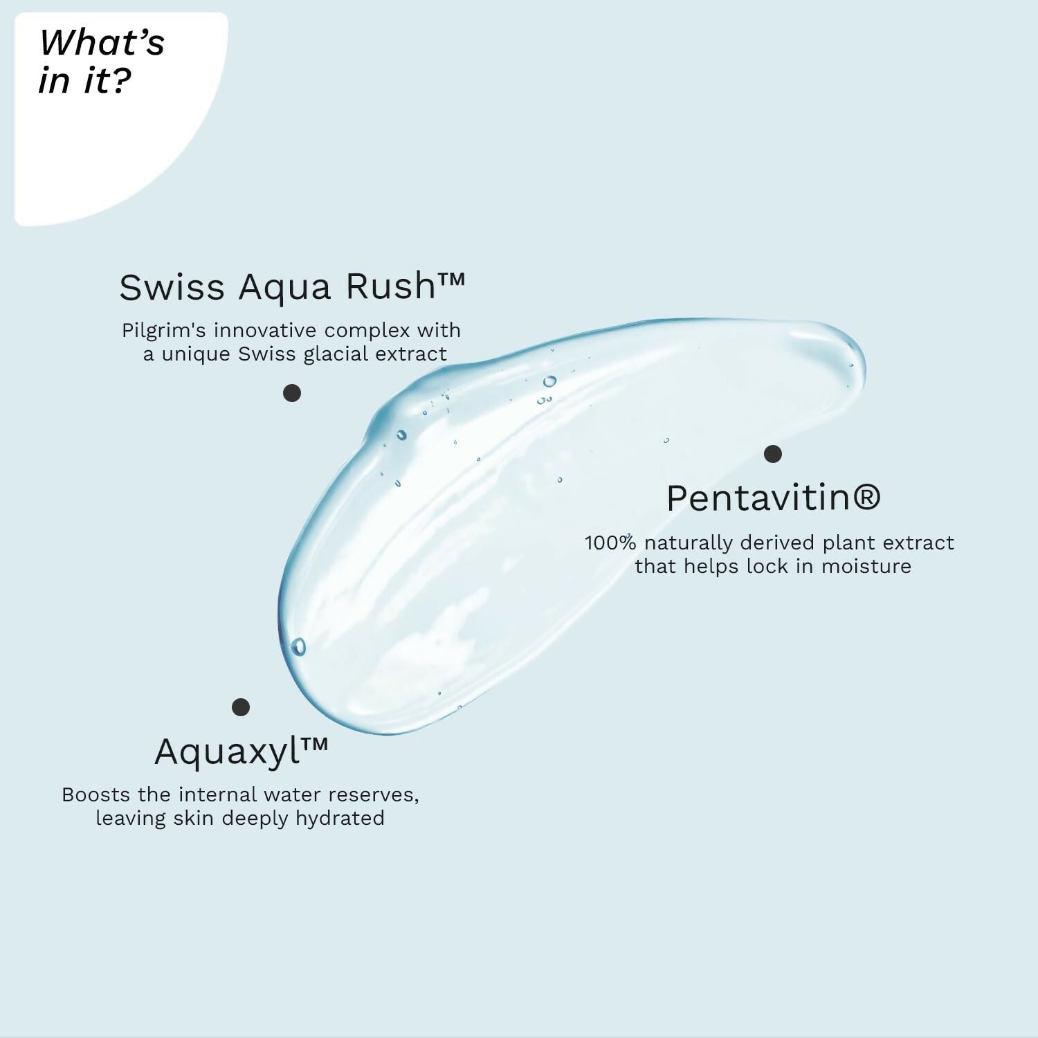 Pilgrim Swiss Aqua Rush Hydrating Face Wash, Refreshes Skin & Restores Hydration | Grocsy