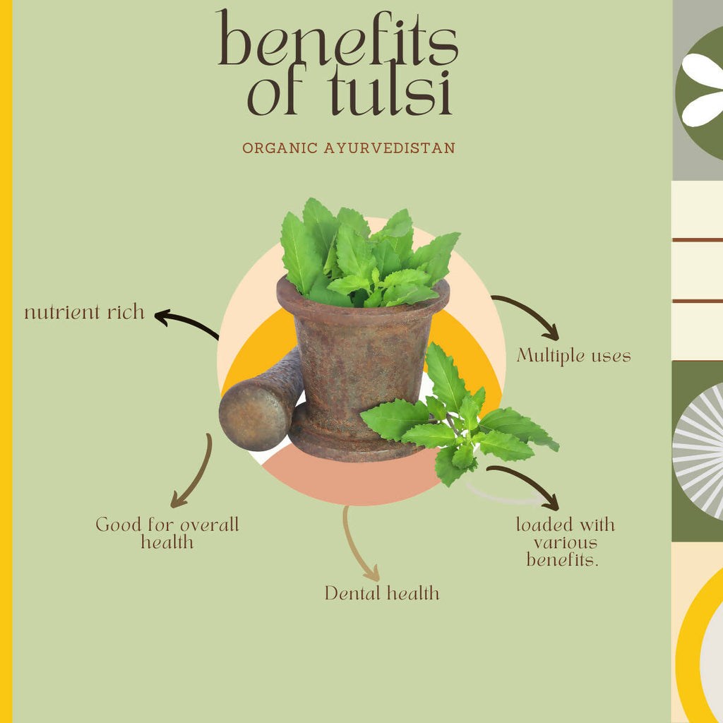 Organic AyurveGrocsyn Tulsi Powder | Grocsy