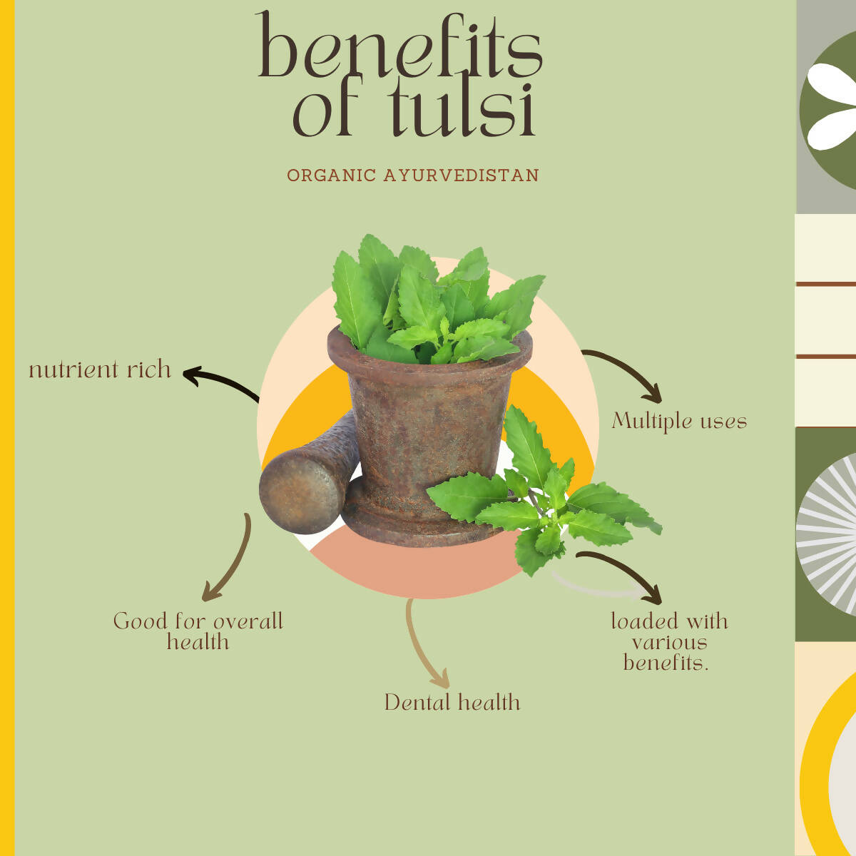 Organic AyurveGrocsyn Tulsi Powder | Grocsy