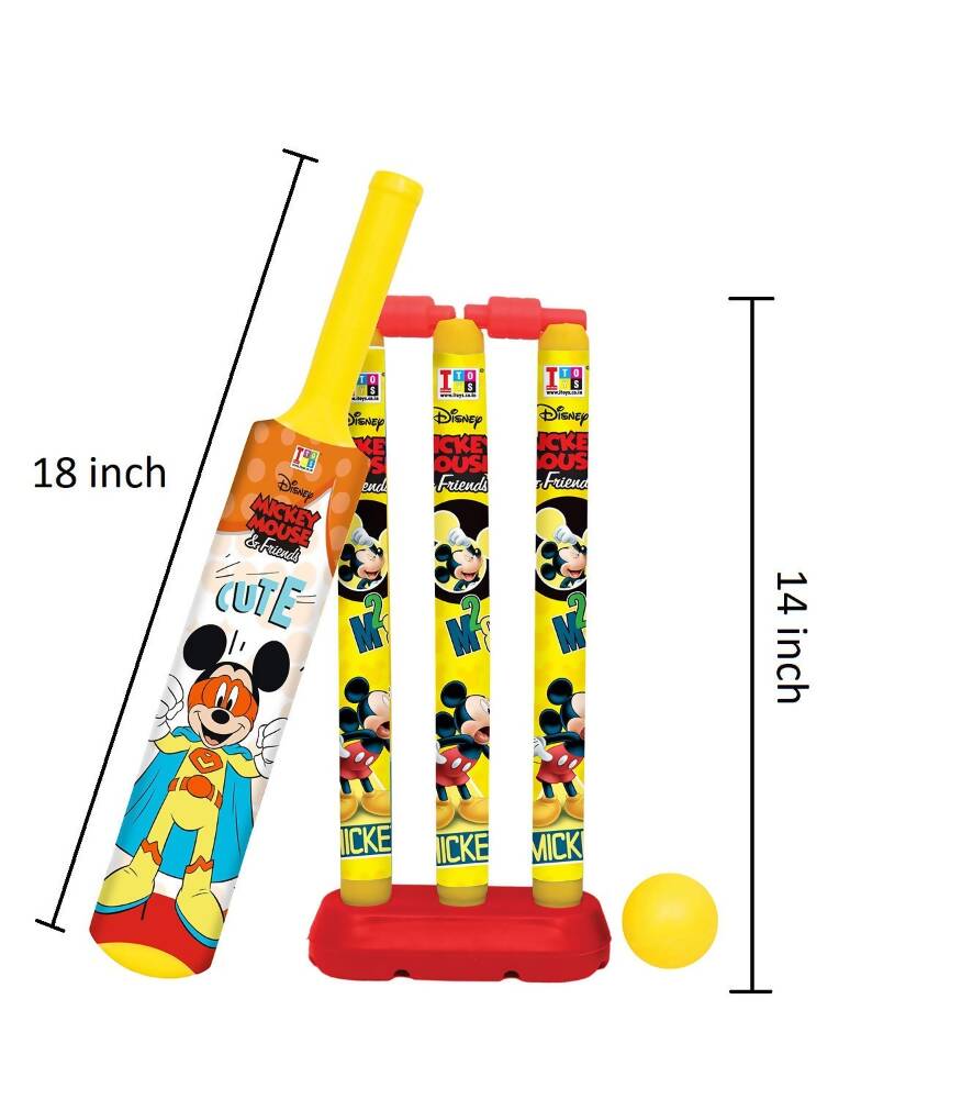 Manaki Enterprise Cricket Set For Kids | Grocsy