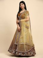 Brown Fancy Net Sequence Embroidered Lehenga Choli with Dupatta - Dhara | Grocsy