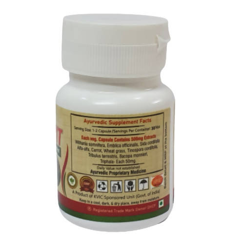 Deep Ayurveda Ayurvit 500mg Veg Capsules | Grocsy