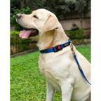 Waggety Dog Leash - Durable Blue Polyester, Length - 5Ft, Comfortable Grip, Stylish Pet Leash for Dogs | Grocsy