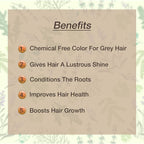 Dr. Jain's Greynil Dark Shade Powder | Grocsy