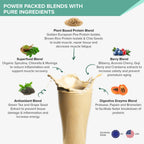 Wellbeing Nutrition Superfood Plant Protein-French Vanilla Caramel | Grocsy