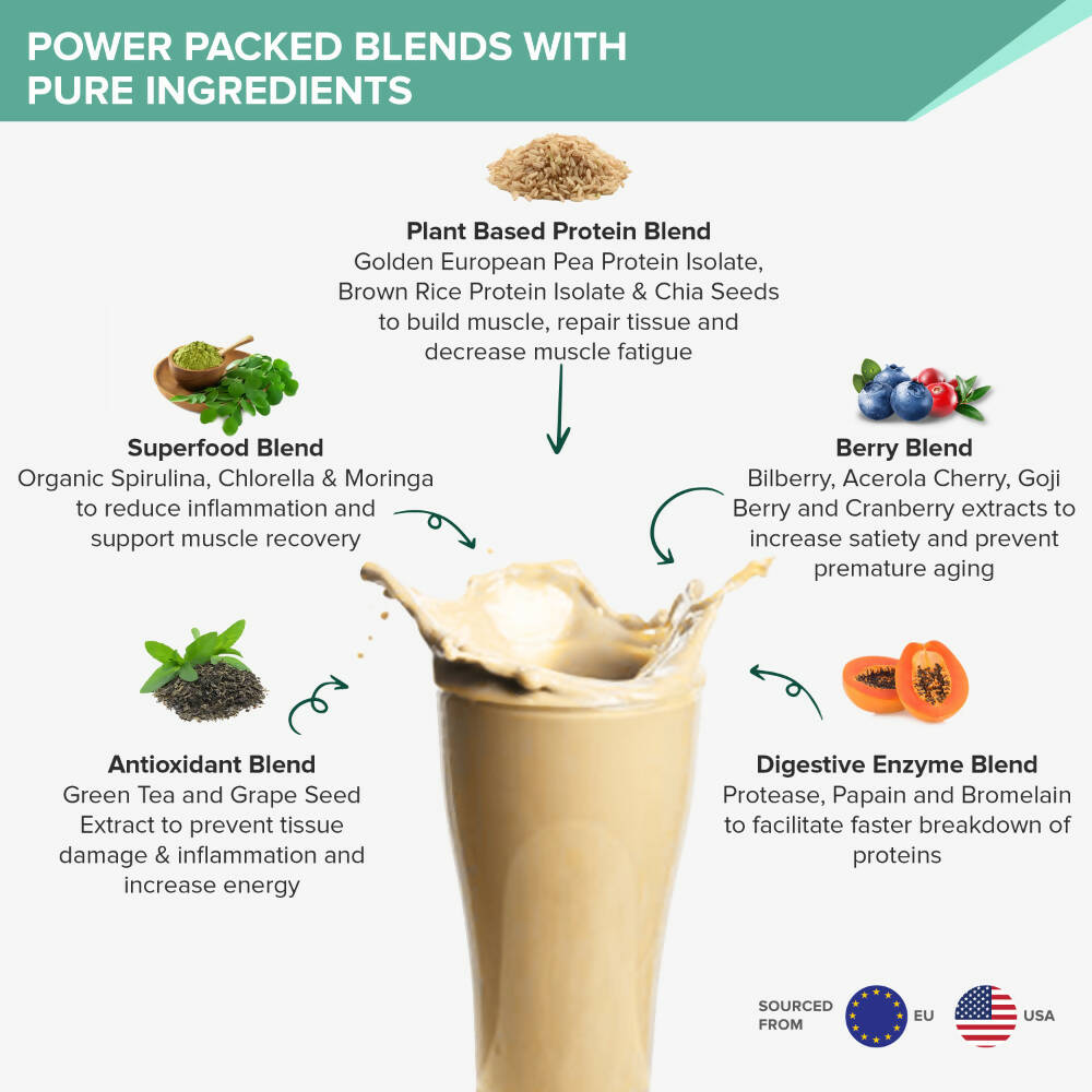 Wellbeing Nutrition Superfood Plant Protein-French Vanilla Caramel | Grocsy