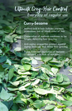 Nat Habit Curry Sesame Winter Hair Oil | Grocsy