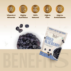 Kitchen Smith Dried Blueberry Seedless | Grocsy