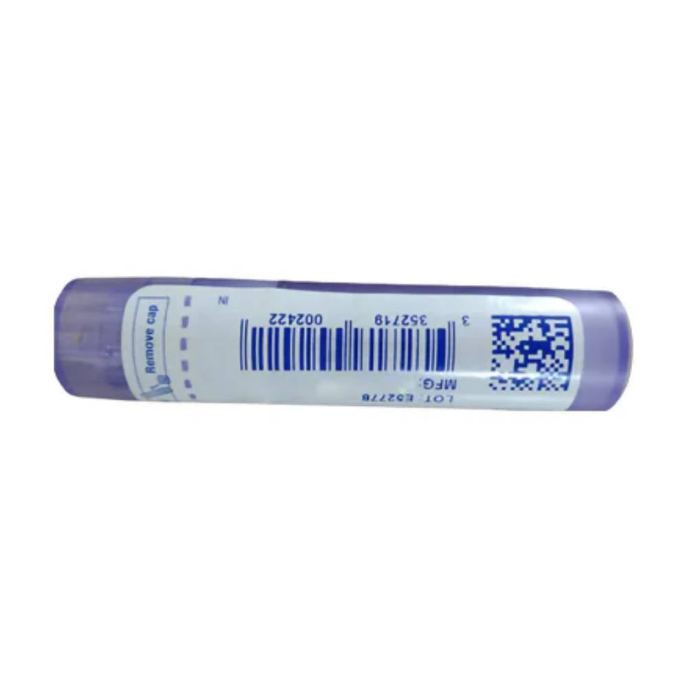 Boiron Homeopathy Bacillus Coli (Colibacillinum) Pellets | Grocsy