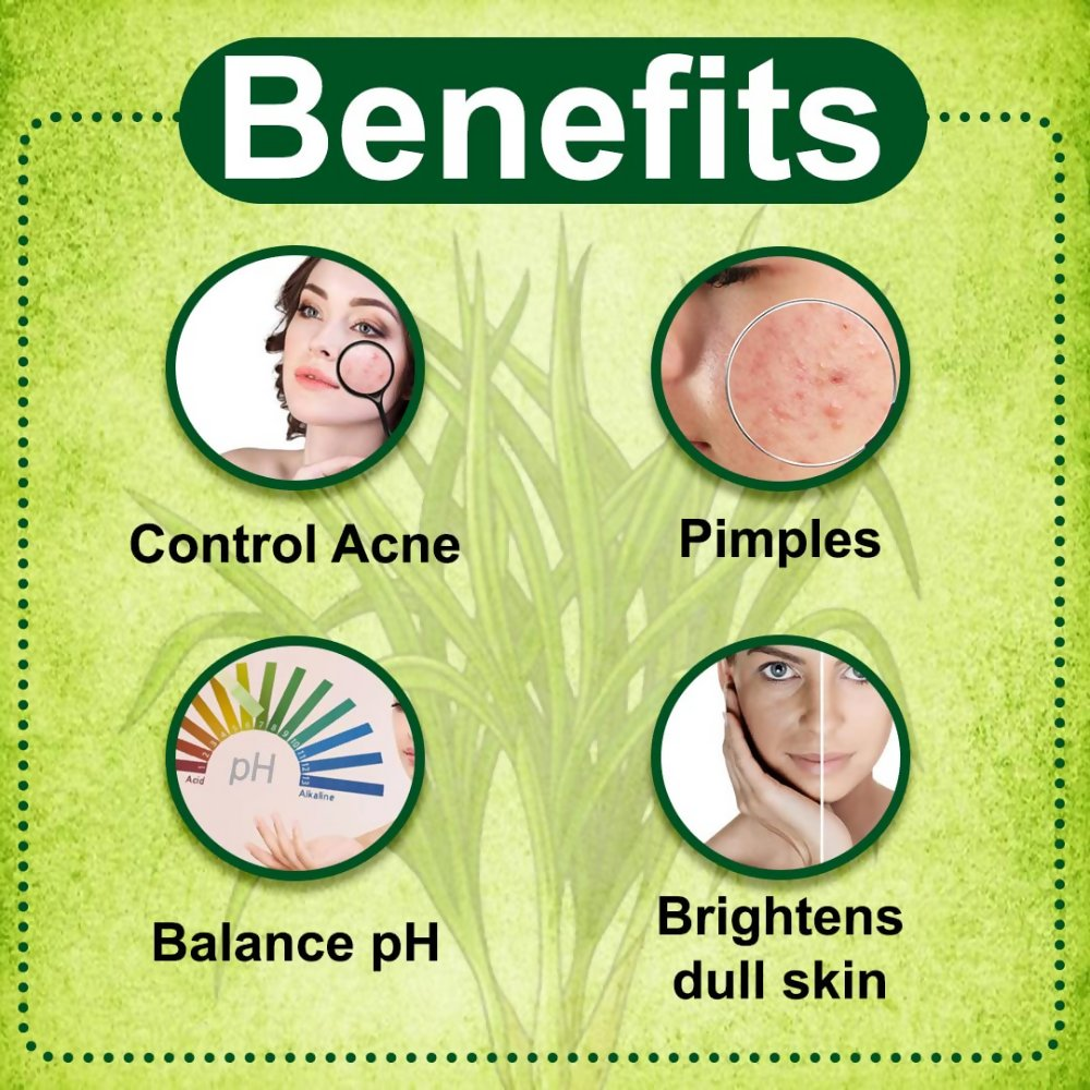 VedicAyurveda Lemongrass Hydrosol Skin Toner With Glycerine | Grocsy