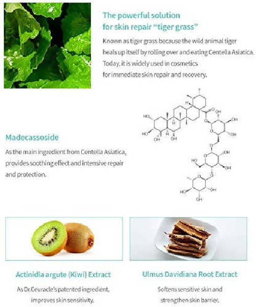 Dr.Ceuracle Cica Regen 92 Toner | Grocsy