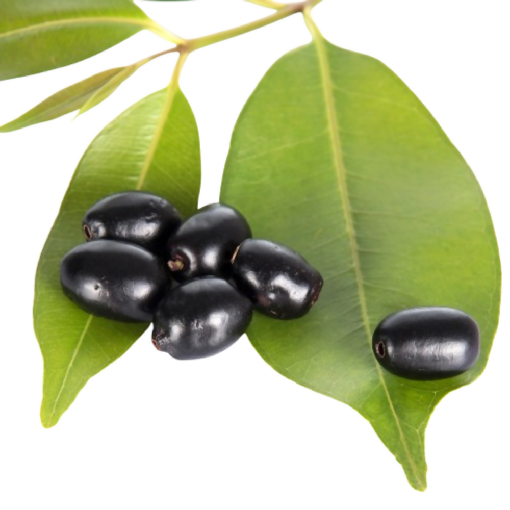 Nxtgen Ayurveda Jamun Seed Powder | Grocsy