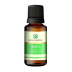 Korus Essential Basil Essential Oil - Therapeutic Grade | Grocsy