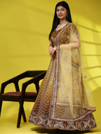 Brown Fancy Net Sequence Embroidered Lehenga Choli with Dupatta - Dhara | Grocsy