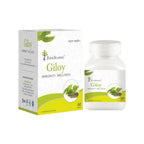 Four Seasons Giloy Immunity Wellness Tablets | Grocsy