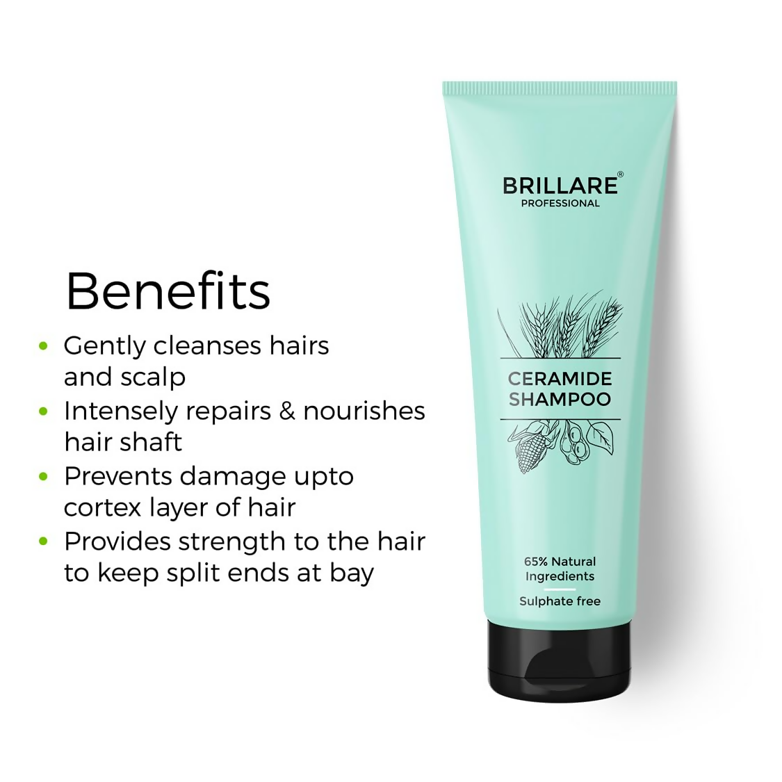 Brillare Ceramide Shampoo | Grocsy