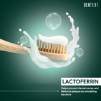 Dente91 Sensitive Toothpaste Reduces Hypersensitivity Strengthens Enamel Repairs Cavities | Grocsy