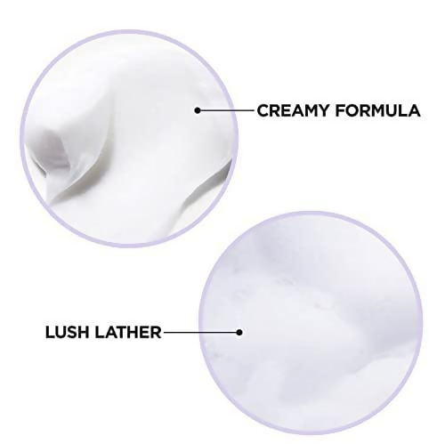 L'Oreal Paris Ever Pure Moisture Shampoo Rosemary | Grocsy