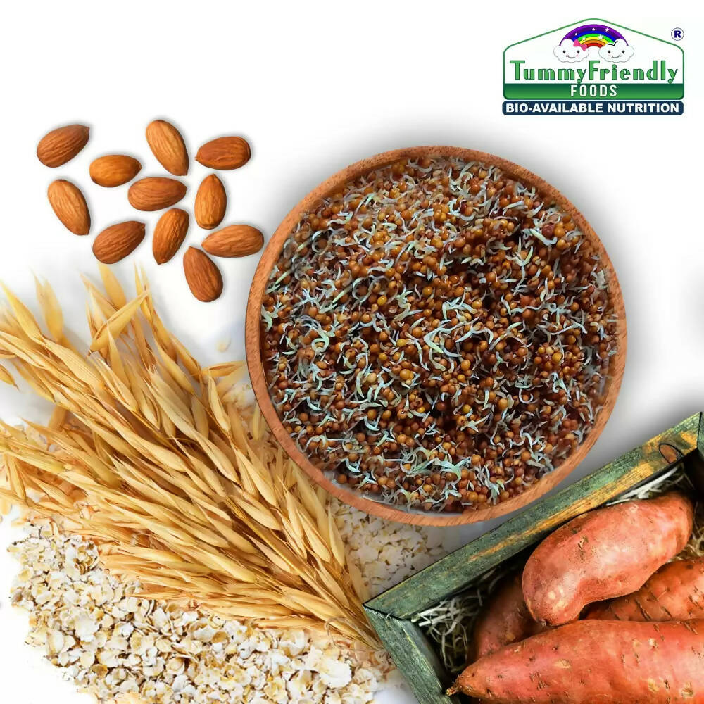 TummyFriendly Foods Certified Organic Multi-Grain, Sprouted Ragi, Oats, Red Lentil, Banana and Sathu Maavu Porridge Mixes Combo | Grocsy