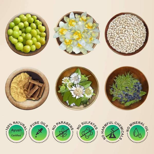 Bodyherbals Neelibringadi Hair Oil | Grocsy