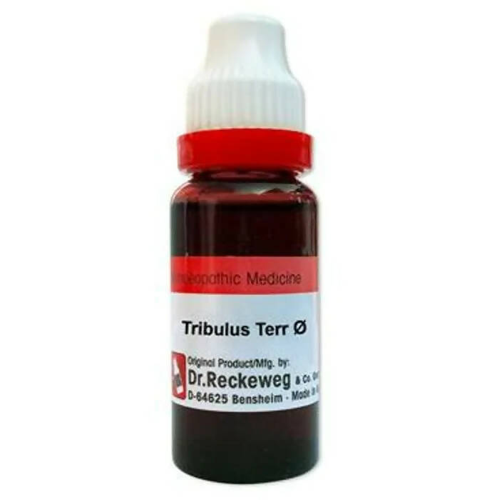Dr. Reckeweg Gokshura Terr Mother Tincture Q | Grocsy