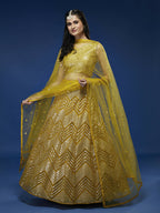 House of Panchhi Mustard Net Sequinse Work Lehenga & Blouse, Dupatta | Grocsy